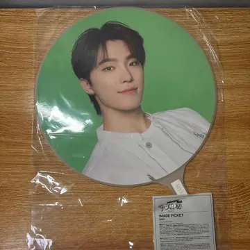 DINO SEVENTEEN TOUR 부채 follow again