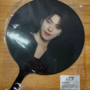 DINO 디노 follow again 부채