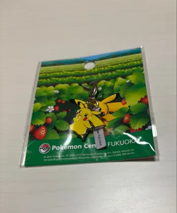 포켓몬 피카츄 메탈 참 후쿠오카 한정판 후쿠오카 포켓몬 센터
