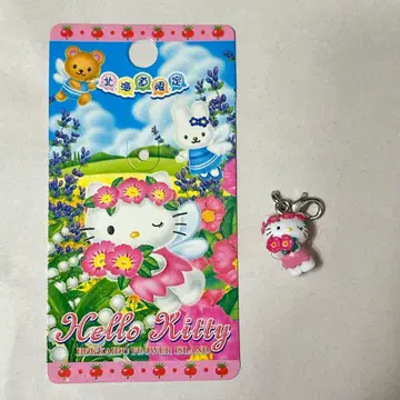 홋카이도 한정 꽃 요정 키티 참 현지 당시 물품 레트로 레어