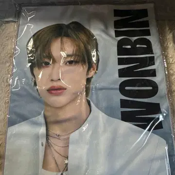 RIIZE 원빈 슬로건 타월