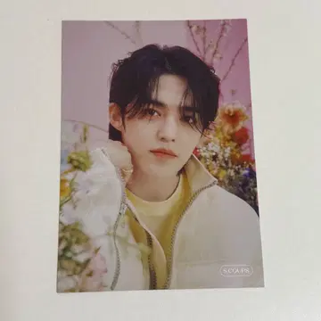 세븐틴 seventeen always yours 플라이어 에스쿱스