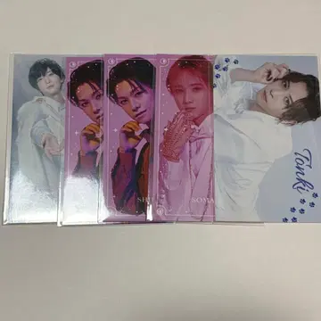 캐터리아 하프 브로마 러그돌 시바얀 소말리 통키