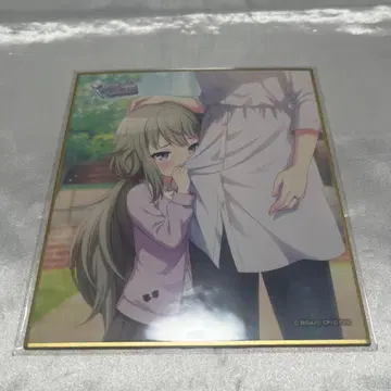 프로세카 리바도리 색지 쿠사나기 네네