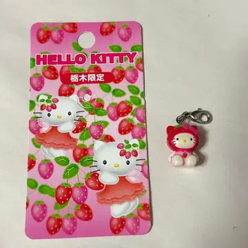 딸기 도치기 한정판 키티 참 현지 당시 물품 레어 레트로