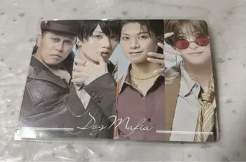 캐터리아 네일 트레이딩 카드