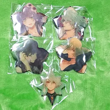 컬러 마리스 메탈 배지 5개 세트