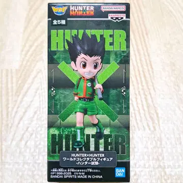 HUNTER x HUNTER 월드 컬렉터블 피규어 곤 헌터 시험
