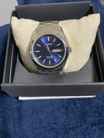 REGUNO 스테인리스 스틸 시계 파랑