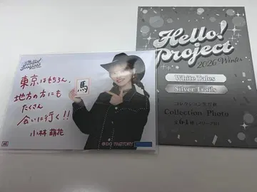 할로콘 할로프로 컬렉션 브로마이드 코레샤 고바야시 모에카