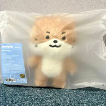 SEVENTEEN MINITEEN 디노 찬다리 세부치 봉제 인형