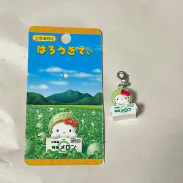멜론 홋카이도 한정 키티 참 지역 한정 당시 물건 레트로 레어