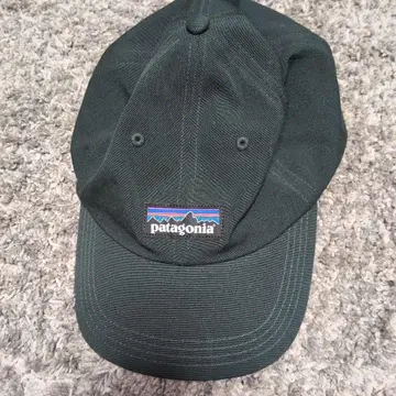 patagonia 다크 그린 캡