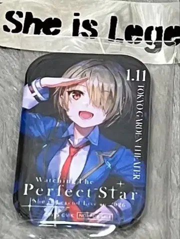 [은테 포함] 헤브반 she is legend 도쿄 캔뱃지