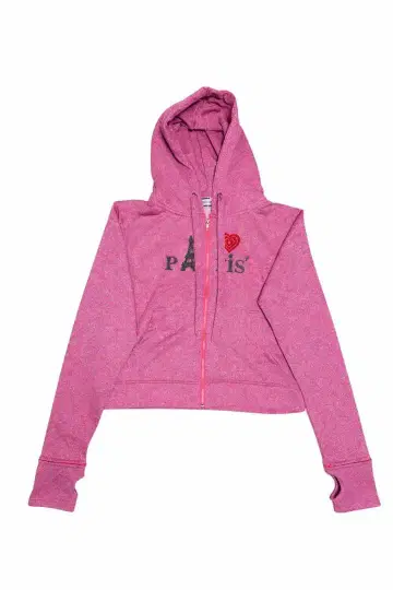 dinoworks Dino works 파리 후드티