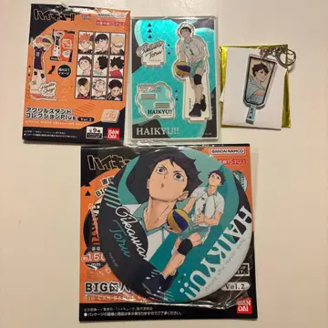 하이큐 오이카와 토오루 BIG 캔뱃지 컬렉션 아크릴 스탠드 컬렉션