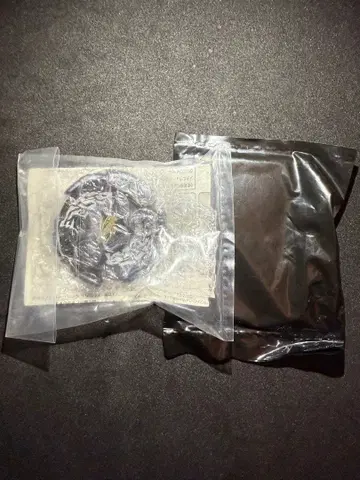 메탈 파이트 베이블레이드 갤럭시 페가시스 우승 경품 건메탈 ver.