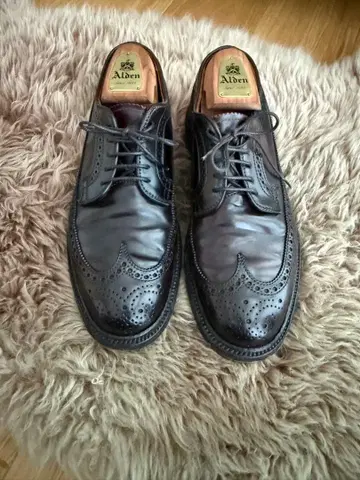 Alden 알든 9751 버건디 코도반 윙팁