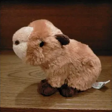 나스 동물 왕국 카피바라 CUTE 봉제 인형