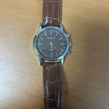 GAIETY 브라운 쿼츠 손목시계