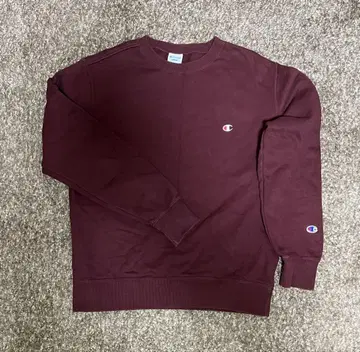 Champion 트레이닝복 L 사이즈 [가반디]