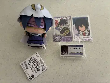 히로아카 아마지키 타마키 선이터 치비구루미 네임 카드 덤 포함