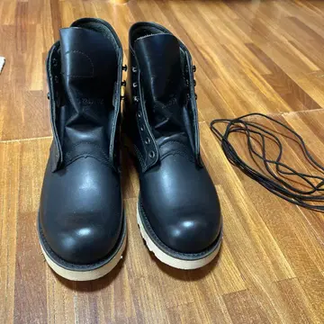 레드윙 빔즈 별주 9873