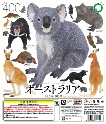 네이처 테크니컬러400 호주 전 5종 컴플리트 세트