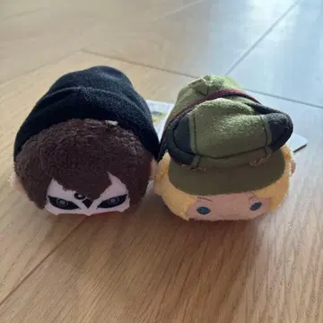 대역전재판 지나 레스트레이드 가면의 시종 캡콜론