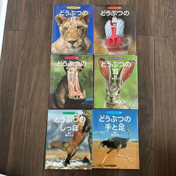 동물의 몸 (전 6권)