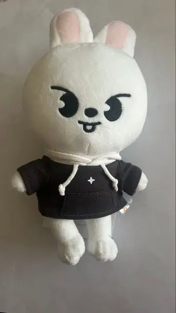 Stray Kids 리빗 Leebit