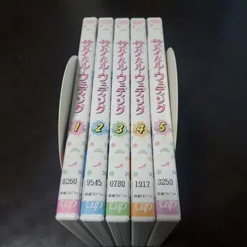 서바이벌 웨딩 DVD [ 5장 세트 ]