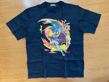 포켓몬 트레이너즈 T셔츠 컬렉션 단델&리자몽