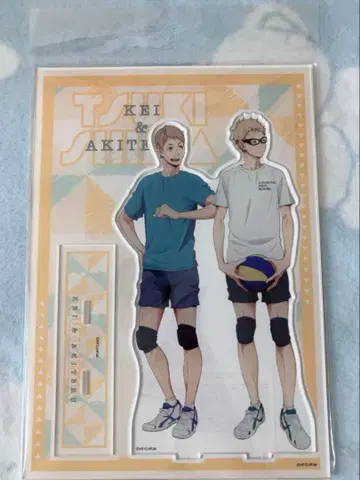 하이큐!! 아크릴 스탠드 혈연 시리즈 츠키시마