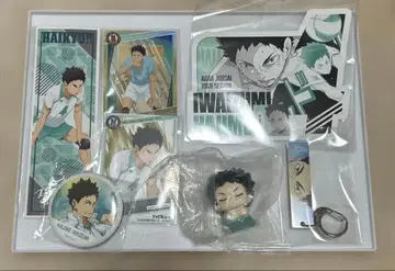 하이큐!! 이와이즈미 하지메