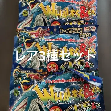 오늘 한정 가격 WHALES & CO. 안도코 고래&co.