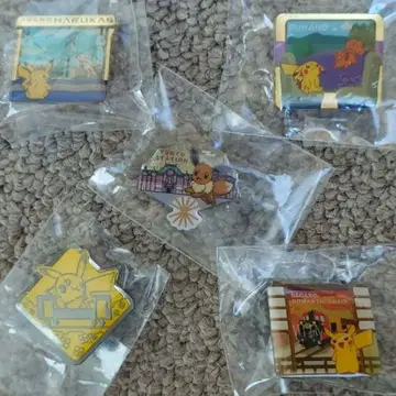 포켓몬 지역 한정 핀즈