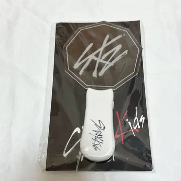 Stray Kids 스키즈 응원봉 초기