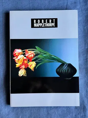 로버트 메이플소프 로버트 메이플소프전 도록