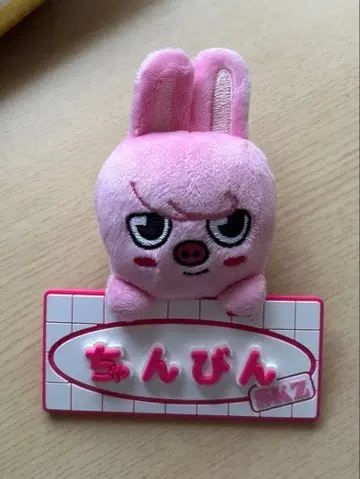 straykids 창빈 돼끼 네임 백참