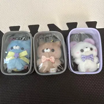 스쿳토 타치 씨 곰 3개 세트 케이스 포함