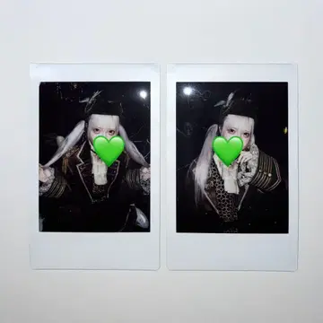 마큐로 스이조 니아 폴라로이드 세트