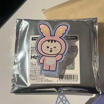 seventeen miniteen 정한 클립