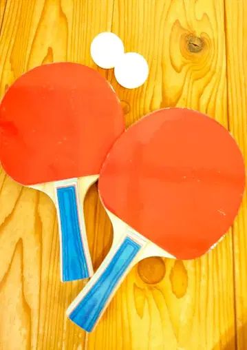 패밀리 핑퐁 탁구 세트