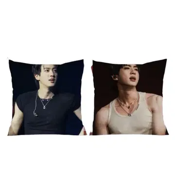 JIN 쿠션 커버 45cm 양면 프린트 진 BTS
