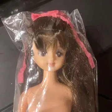 마린 제니 친구 리카짱 캐슬 즐거운 인형