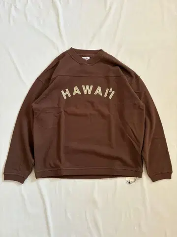 SALVAGE PUBLIC 맨투맨 브라운 L 하와이 새상품 택 포함