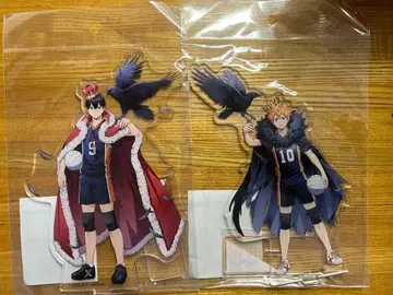 하이큐 빅 아크릴 스탠드 히나타 카게야마