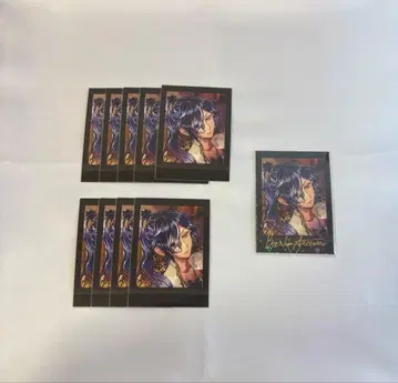 악마 집사와 검은 고양이 보스키 파샤코레