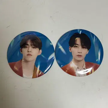 SEVENTEEN BE THE SUN 캔뱃지 에스크 정한